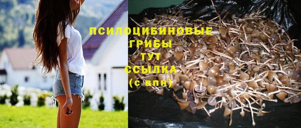 a pvp Артём