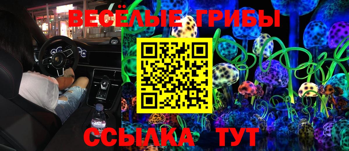 Галлюциногенные грибы прущие грибы Дербент