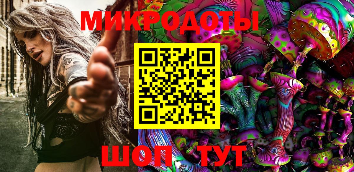 Псилоцибиновые грибы Psilocybe  Дербент 