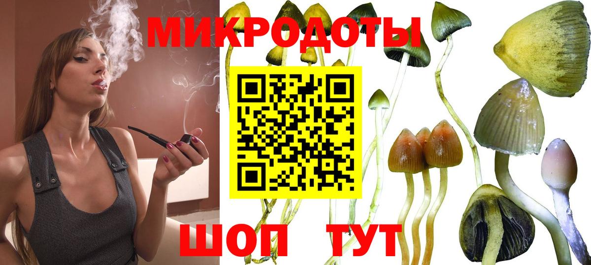 Галлюциногенные грибы Psilocybe  Вход с VPN  Дербент  Галлюциногенные грибы Cubensis 